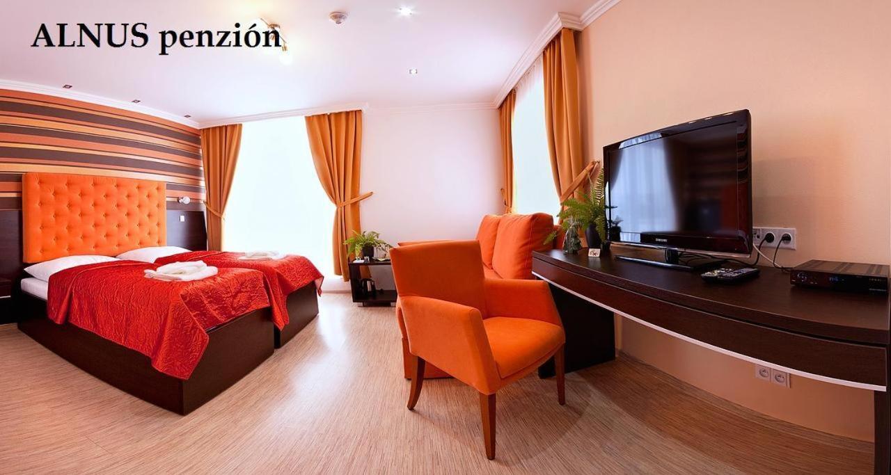 Alnus Penzion Smilno Room photo